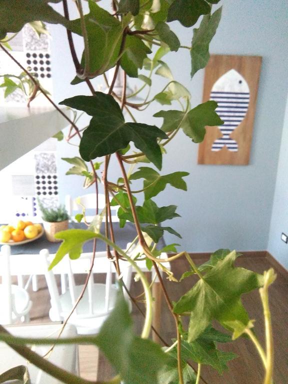 Apartament Navigad Vietri Zewnętrze zdjęcie